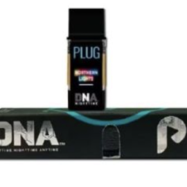 Plug n play Northern Lights plugs