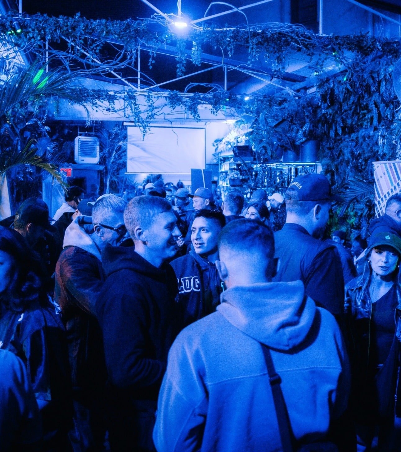 About Plug Play online Shop