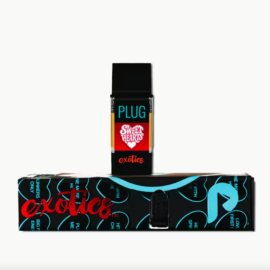 Sweethearts PlugPlay Exotic Plug