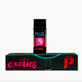 Watermelon Sorbet PlugPlay Exotic Plug