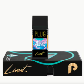 Day Dream PlugPlay Livest