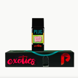 Guava Burst PlugPlay Exotic Plug